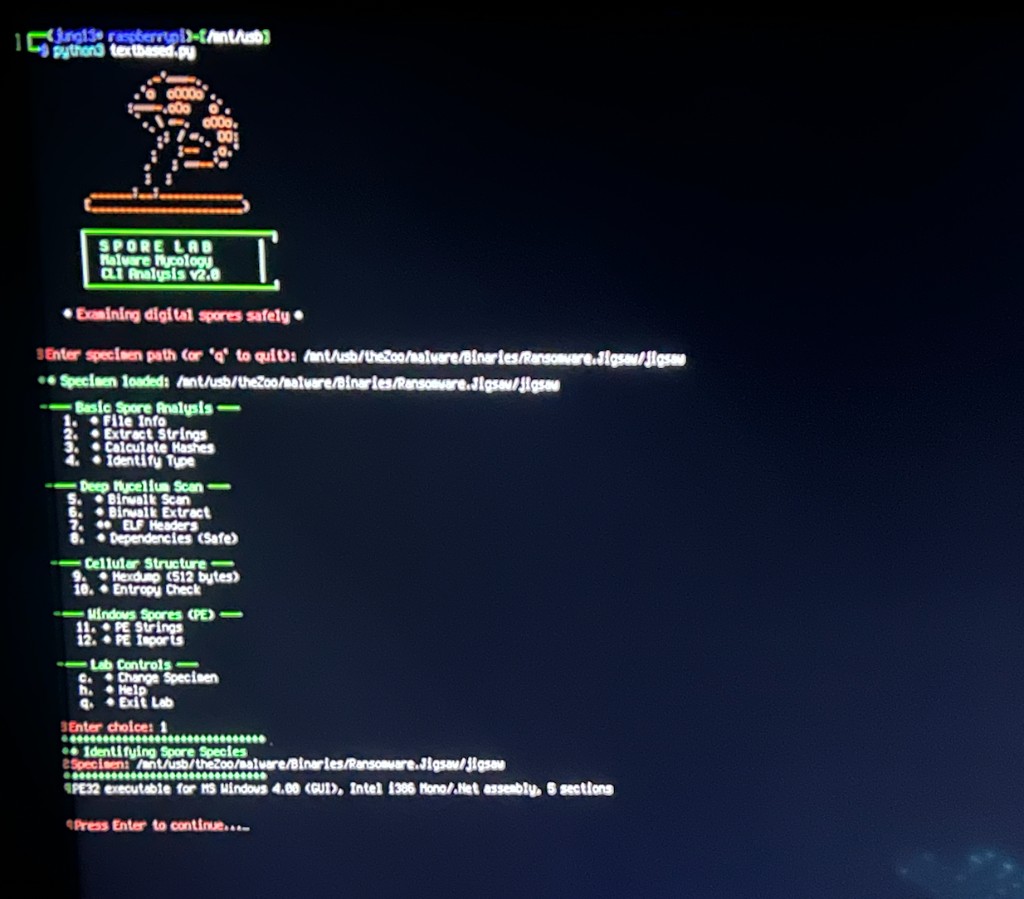 Spore Lab malware analysis terminal screen